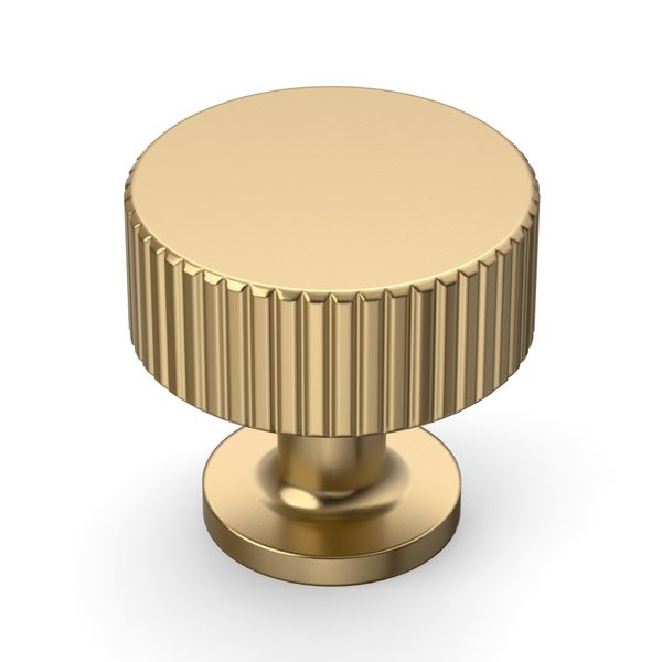 9BUILD 10 Pack Kitchen Cabinet Knobs Champagne Bronze, Round Drawer Pulls for Bathroom Dresser and Hardware