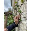 Tildenet 100 mm Vine Eyes