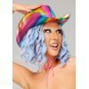 Struts Metallic Rainbow Pride Cowboy Hat
