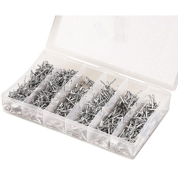 1/8 Blind Pop Rivet Assortment For Hand & Air Riveter W/ Storage Case 1000Pc