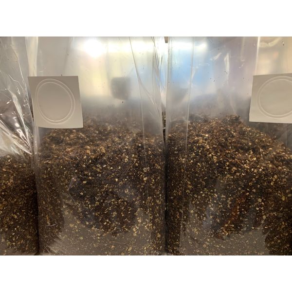 Pasteurized Substrate 5.5 LBS Manure Based for Mushroom Cultivation Ready to Use