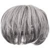 Priscilla GB-24-TGH Men's 5/4 Wig, Medium Short