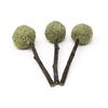 Oxbow Enriched Life Timmy Pops