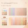 "Official" Daisek Dasique Pro Concealer Palette Pro Concealer Palette / Concealer Palette (#2 Medium Cover)