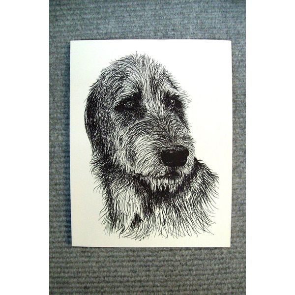 Irish Wolfhound Pen and Ink Stationary Cards, Note Cards, Greeting Card. 20 pack