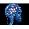 Ginkgo Biloba Extract - ST. JOHN'S WORT EXTRACT - mood support - antidepressant