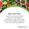 Natures Plus Herbal Actives Red Yeast Rice - 1200 mg, 120 Vegan Capsules - Vegetarian, Gluten-Free - 60 Servings