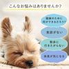 万田発酵 Pet 万田 Enzyme ferumikku G