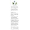 Aloe Cadabra Natural Water Based Personal Lube, Organic Lubricant for Her, Him & Couples, Pina Colada, 2.5 oz (Pack of 5)