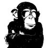 CafePress The Shady Monkey Sticker Square Bumper Sticker Car Decal