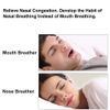 WoodyKnows Ultra-Thin Nasal Dilators(Combo S+M+L 3 Pack)