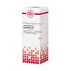 Harpagophytum procumbens D12 DHU Dilution, 20 ml Lösung