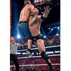 Wwe: Wrestlemania 28 [DVD]