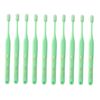 Mummy 17 25 Count Oral Care Medium Green