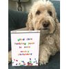 Glad This Year Is Over Merry Christmas Card