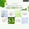 [cos:mura] Official Dealer [EOSEONCHO EYE CREAM] Eye Cream, 1.0 fl oz (30 ml)