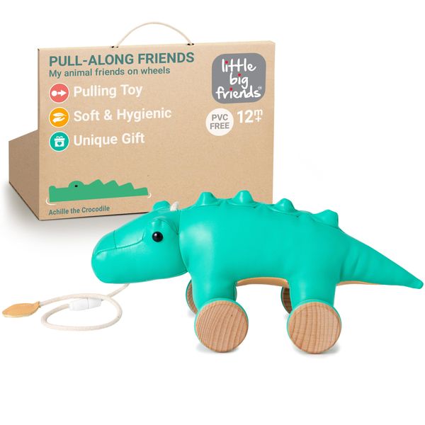 Little Big Friends Pull Along Friends | Pull Along Toy for Baby | Traditional Toys | Easy to Clean | Achille The Cocodile