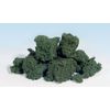 Dark Green Foliage Clusters Woodland Scenics