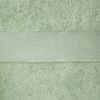 Catherine Lansfield Anti-Bacterial Hand Towel Sage