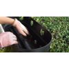 Rail Planter box Home improvement by Viatek Deck Black Plastic Outdoor Solution