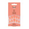 Elegant Touch Core Colour Apricot Crush