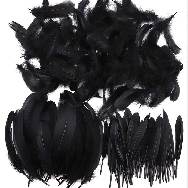 Feather for Crafts,250 Pcs Coloured Feather Striking Feathers for DIY Dream Catchers Natural Crafts Feathers for Wedding/Party/Decorations(3 Sizes) (Black)