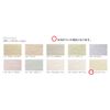 Tosa Plaster Does It Exclusive Color Vanilla Beige H10 
