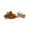 Mikei Red Reishi Mushroom EX (60 Capsules)