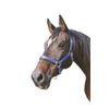 Kerbl Mustang Head Collar - Royal Blue/Black, Size 3