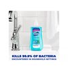 Dial Complete Antibacterial Liquid Hand Soap Spring Water 11 Fl. Oz.