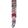 Petio Tough Gear Wire Chain Plus Blue for Medium Dogs 3.5mm