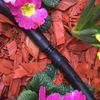 Grow Insane - 20 x 13mm Straight Connector