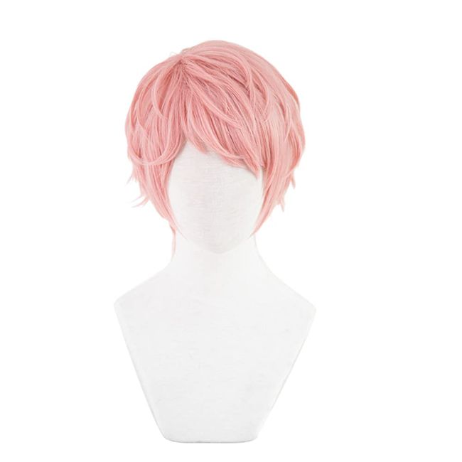 Heat Resistant Cosplay Wig, Second Castle, Muno Saigu Cosplay Wig, Party Disguise + Bonus 3 Pieces, Exclusive Net, Hairpin and Memo Pad Included