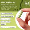 3 Boxes Barley Capsules-FREE SHIPPING, FACTORY SEALED)new Packaging
