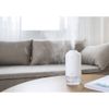 Oa Dual Mist Wireless Mini Humidifier 500ml, OA-HM048