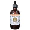 Club Moss (Lycopodium clavatum) Liquid Extract 4 oz