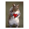 CafePress Squirrel Lover's Rectangle Magnet Magnets Rectangle Magnet, 3"x2" Refrigerator Magnet