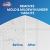 Clorox Company Tile Cleaner