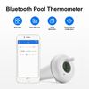 Bluetooth Floating Thermometer Pool  Spa Thermometers IBS-P01B App Control Bath