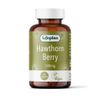 Lifeplan Hawthorn Berry 400mg 60 Caps