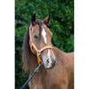 Cameo Equine Fieldsafe Headcollar Cob Hunter Green/Reflective