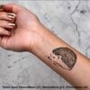 4 x 'Hedgehog' Temporary Tattoos (TO00033647)