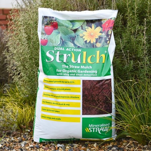 Strulch Mineralised Straw Garden Mulch - Natural Straw Mulch - Perfect as a Natural Slug & Snail Deterrent - Mulches for Gardens UK - 1x 100 Litre Bags by Thompson and Morgan (1)