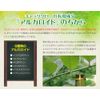 petting Life Theater Rhino kyattukuro- Solid (MSM Blend) Set of 2 