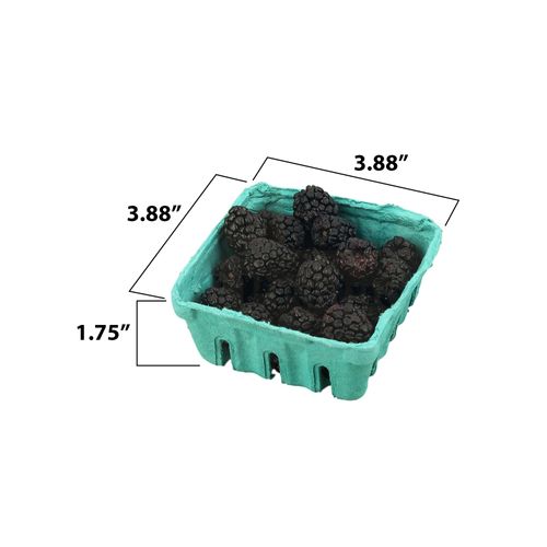 Green Molded Pulp Fiber Produce Vented Berry Basket 1/2 Pint for Packaging Fruits and Veggies by MT Products - (15 Pieces) - Made in The USA
