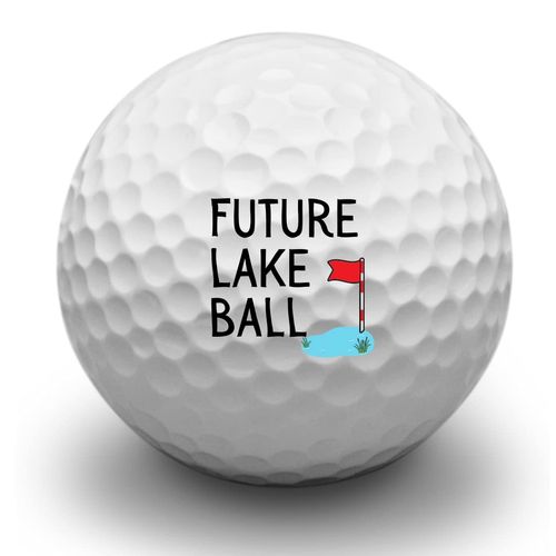 Second Ave Pack of 3 Joke Funny Golf Balls Future Lake Ball Father's Day Christmas Birthday Golfer Gift