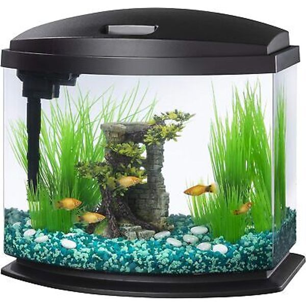 Aqueon LED MiniBow Small Aquarium Fish Tank Kit with 5 Gallon, Black