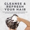 Avalon Organics Biotin B-Complex Thickening Shampoo, 14 oz.