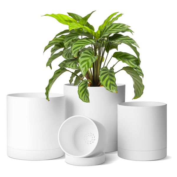 T4U Plant Pot, Plastic Planter, Set of 4, with Saucer, 4.9, 4.9, 5.9, 6.9 inches (10/12.5/15/17.5 cm), Plant Drainage Holes, Round, Modern Style, Flower Pot, Outdoor, Indoor and Indoor Plants, Herbs,