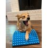 SOLIDBACK Lower Back Pain Relief Treatment Stretcher Chronic Lumbar Support